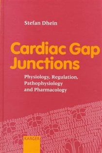 Cardiac Gap Junctions