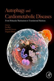 Autophagy and Cardiometabolic Diseases